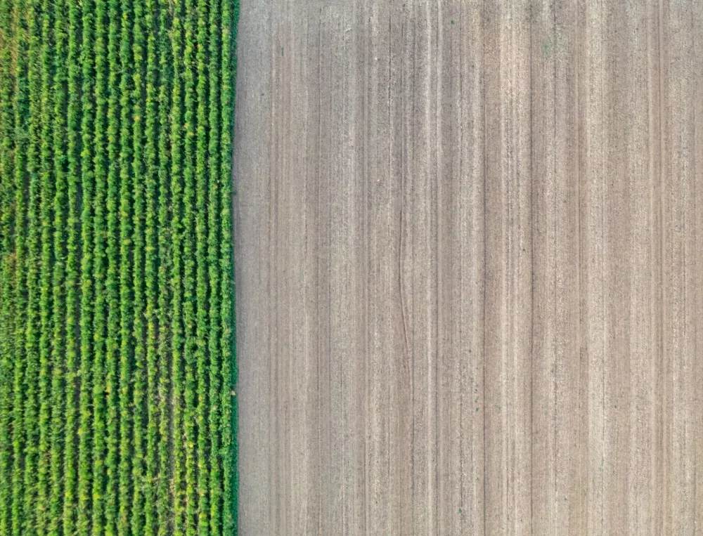 Peter Lenahan: Cultivating Tomorrow's World Through Sustainable Innovation